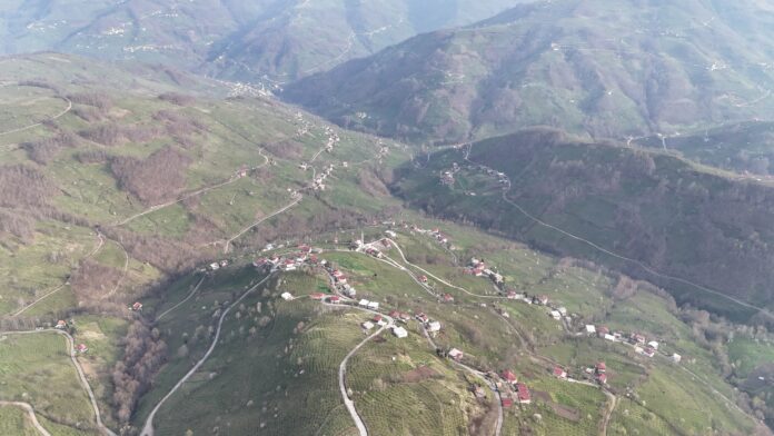 Korgan Çitlice