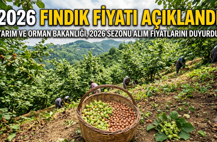 2026 Fındık Fiyatı Açıklandı